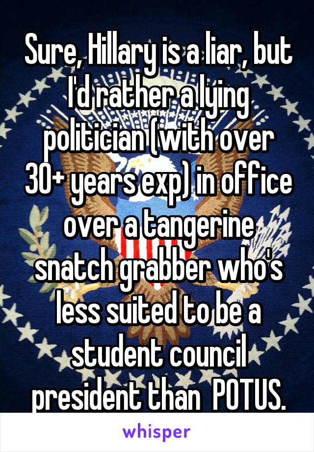 Sure, Hillary is a liar, but I'd rather a lying politician (with over 30+ years exp) in office over a tangerine snatch grabber who's less suited to be a student council president than  POTUS.