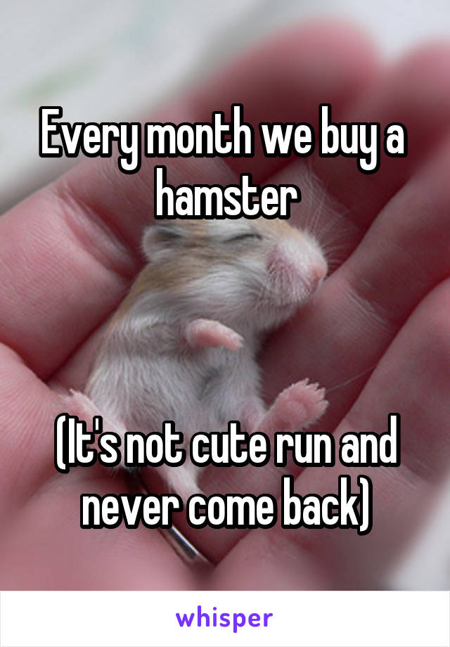 Every month we buy a  hamster



(It's not cute run and never come back)