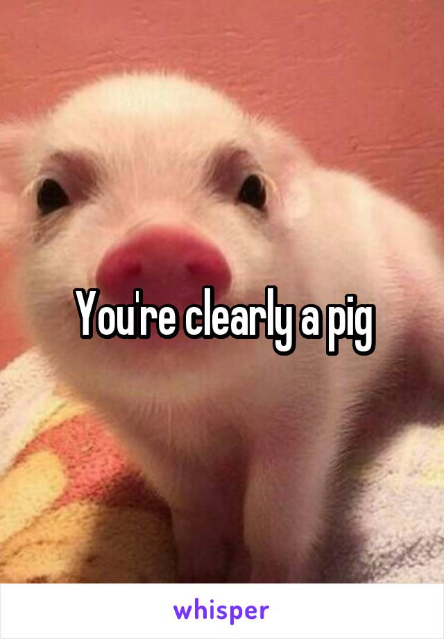 You're clearly a pig