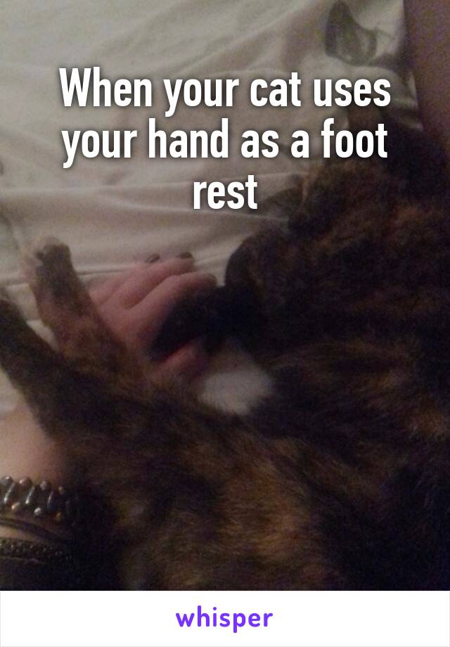 When your cat uses your hand as a foot rest







