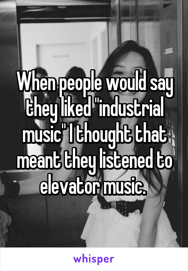 When people would say they liked "industrial music" I thought that meant they listened to elevator music. 