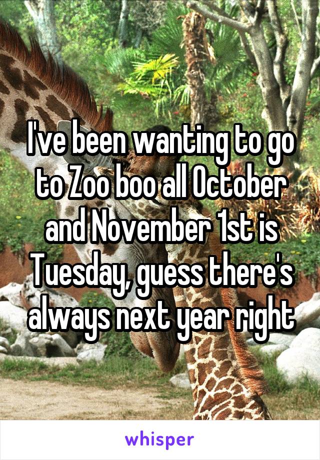 I've been wanting to go to Zoo boo all October and November 1st is Tuesday, guess there's always next year right
