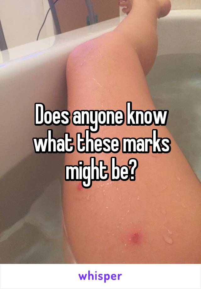 Does anyone know what these marks might be?
