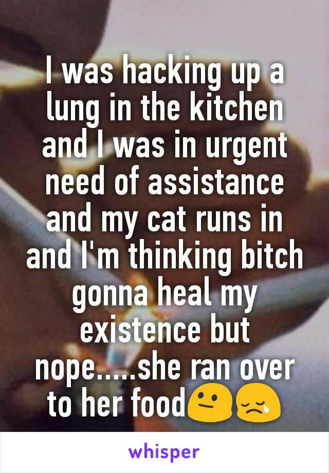 I was hacking up a lung in the kitchen and I was in urgent need of assistance and my cat runs in and I'm thinking bitch gonna heal my existence but nope.....she ran over to her food😐😢