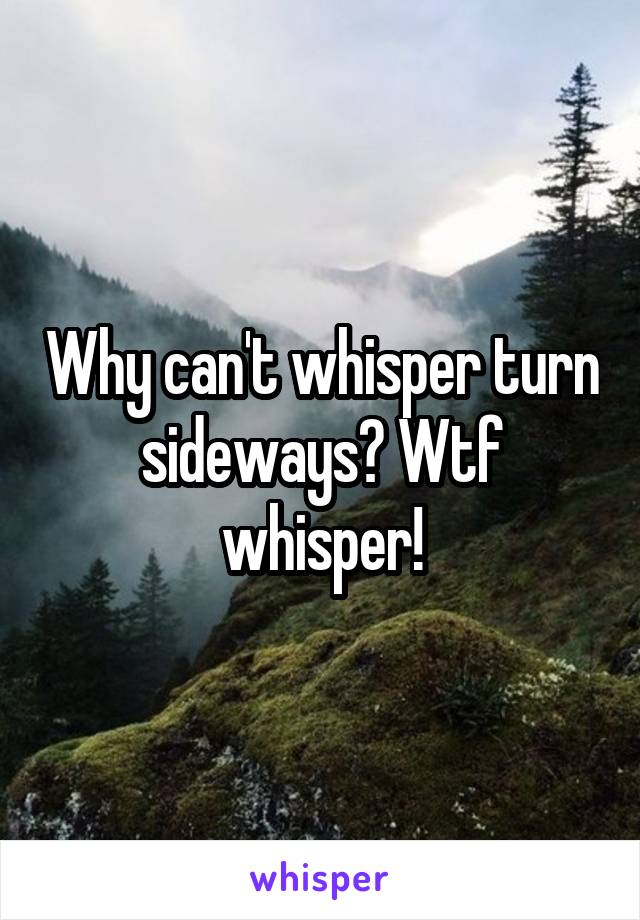 Why can't whisper turn sideways? Wtf whisper!
