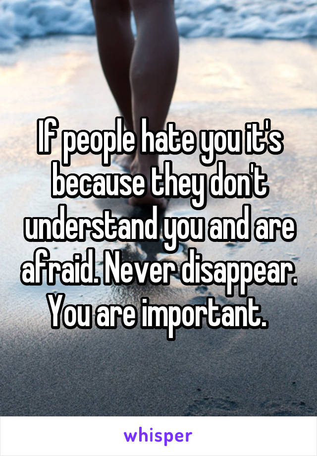 If people hate you it's because they don't understand you and are afraid. Never disappear. You are important. 