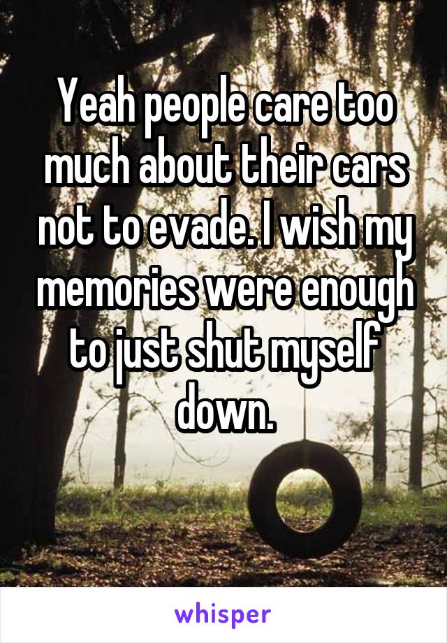 Yeah people care too much about their cars not to evade. I wish my memories were enough to just shut myself down.

