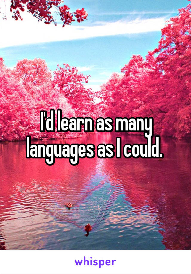I'd learn as many languages as I could. 