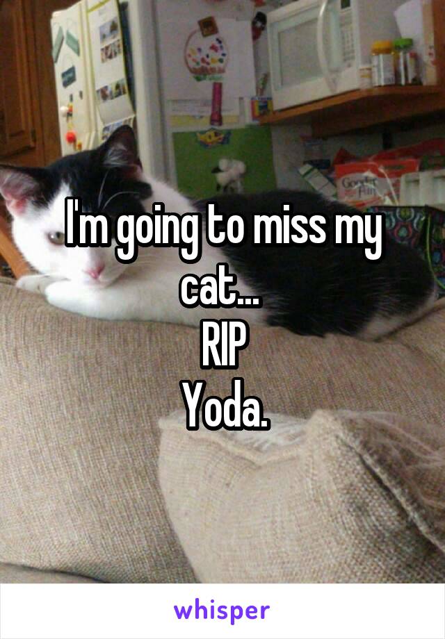 I'm going to miss my cat... 
RIP
Yoda.