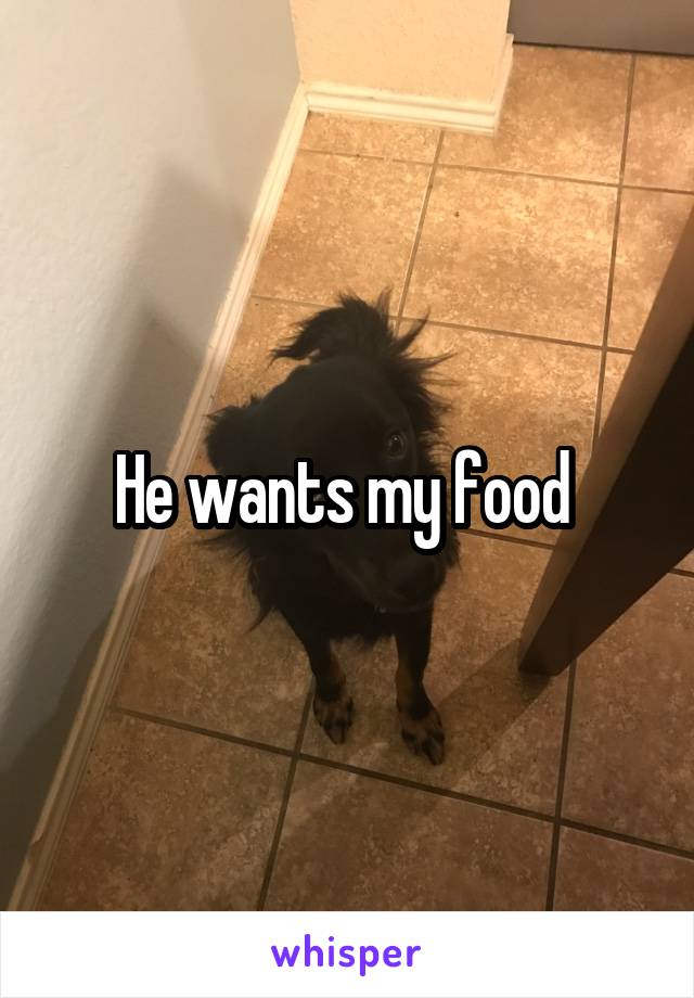 He wants my food 