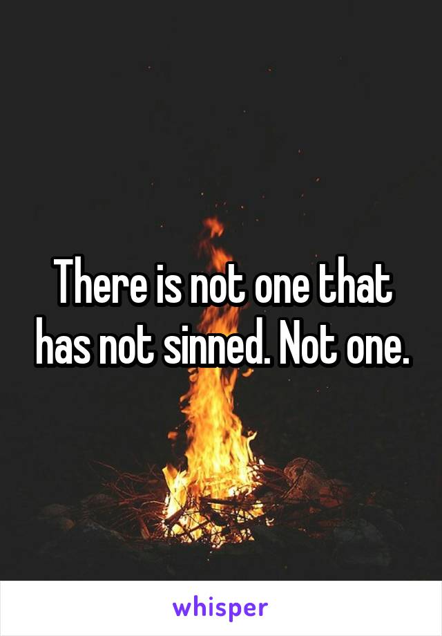 There is not one that has not sinned. Not one.