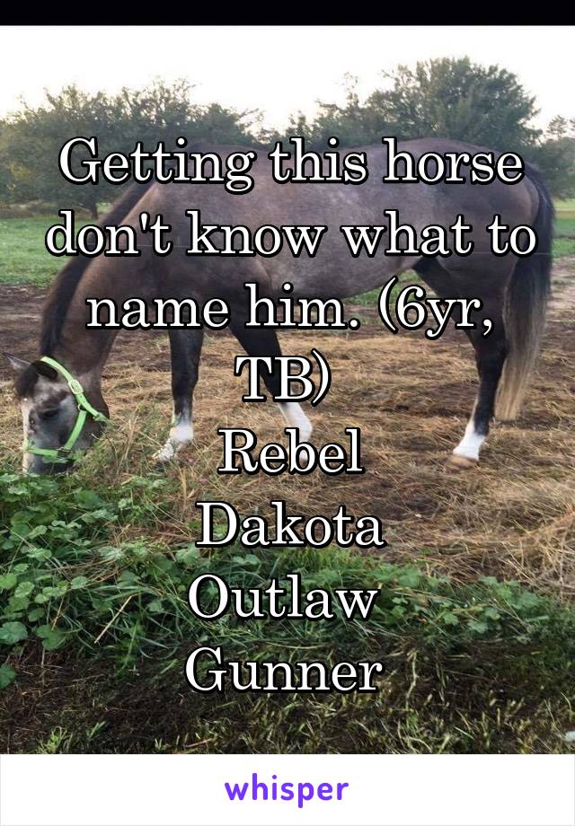Getting this horse don't know what to name him. (6yr, TB) 
Rebel
Dakota
Outlaw 
Gunner 
