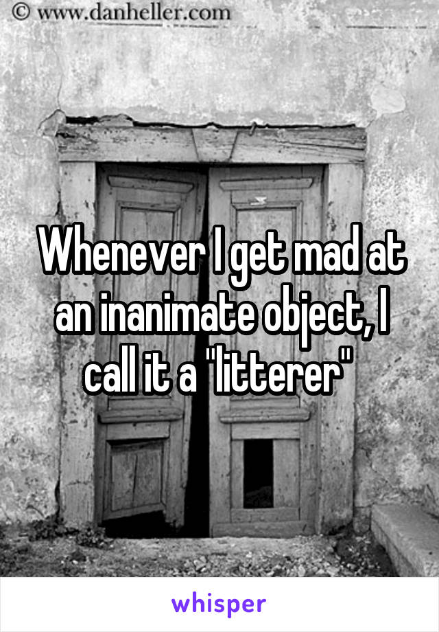 Whenever I get mad at an inanimate object, I call it a "litterer" 