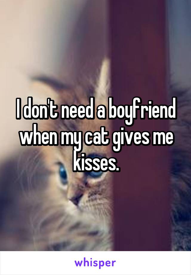 I don't need a boyfriend when my cat gives me kisses.