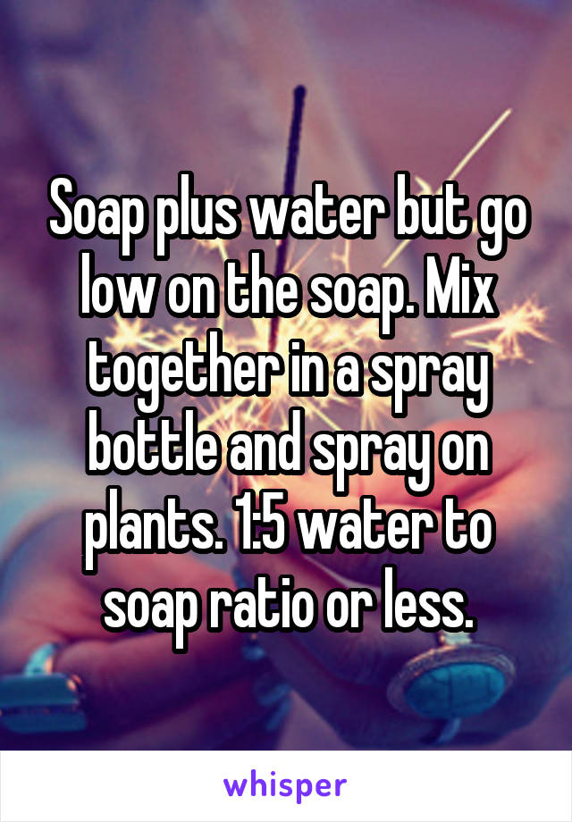 Soap plus water but go low on the soap. Mix together in a spray bottle and spray on plants. 1:5 water to soap ratio or less.