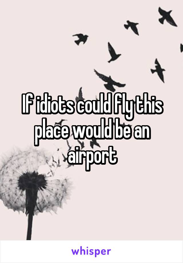 If idiots could fly this place would be an airport
