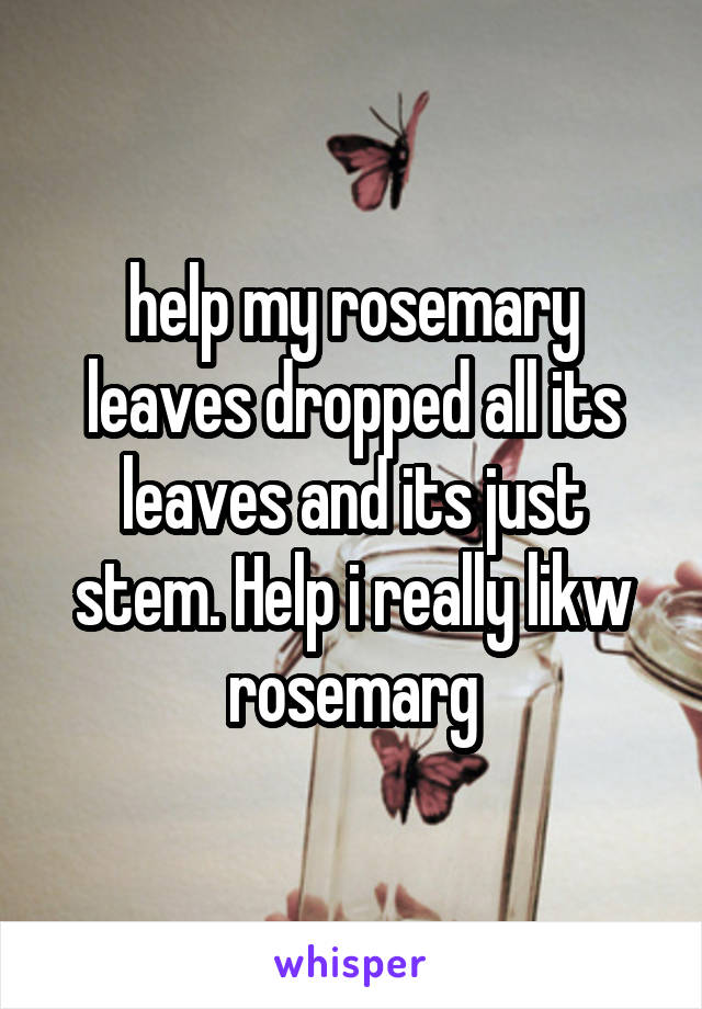 help my rosemary leaves dropped all its leaves and its just stem. Help i really likw rosemarg