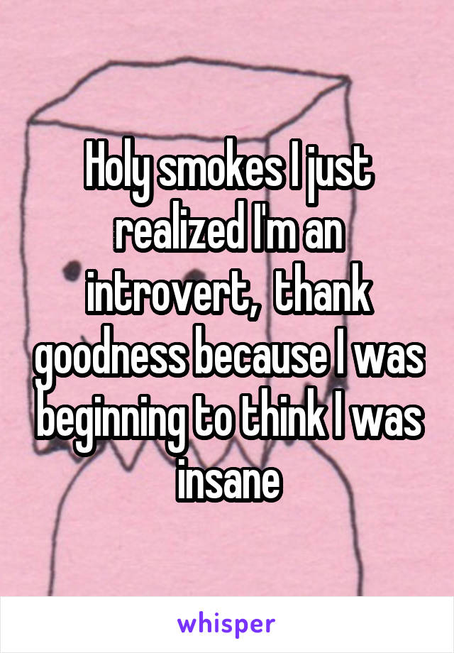 Holy smokes I just realized I'm an introvert,  thank goodness because I was beginning to think I was insane