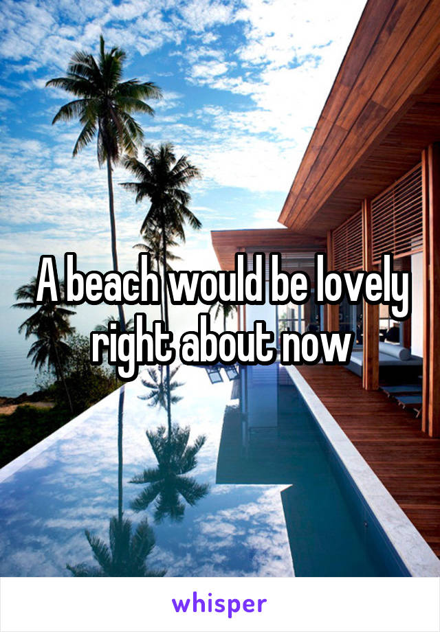 A beach would be lovely right about now