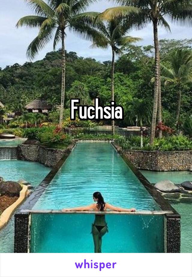 Fuchsia

