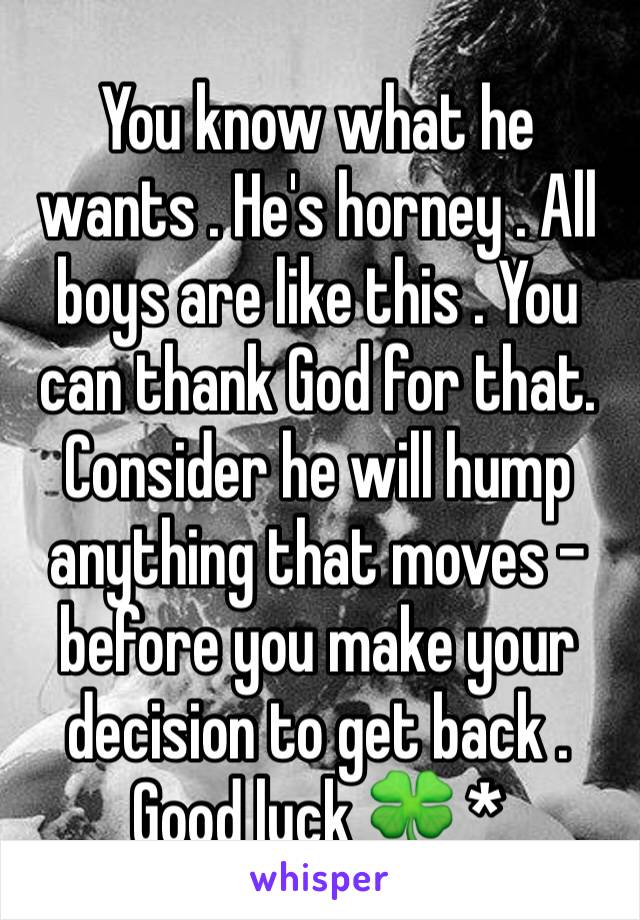 You know what he wants . He's horney . All boys are like this . You can thank God for that. Consider he will hump anything that moves -before you make your decision to get back . Good luck 🍀 *