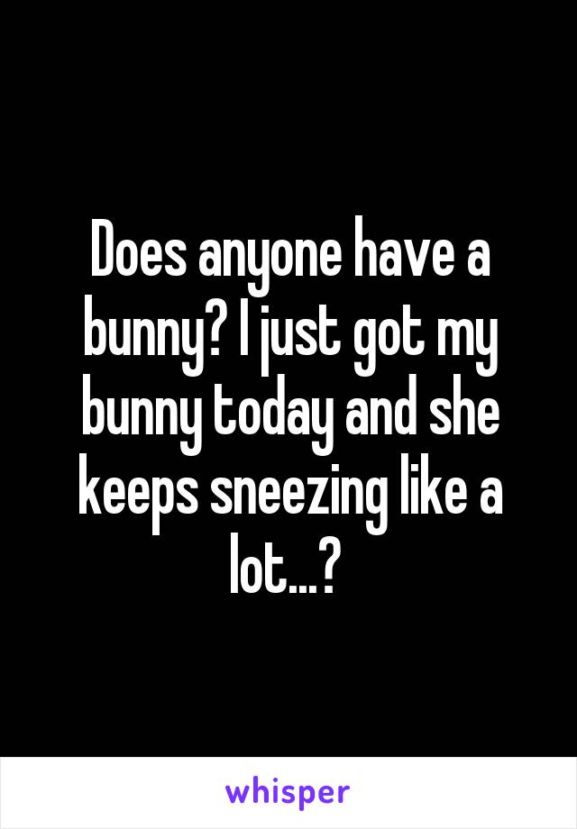 Does anyone have a bunny? I just got my bunny today and she keeps sneezing like a lot...? 