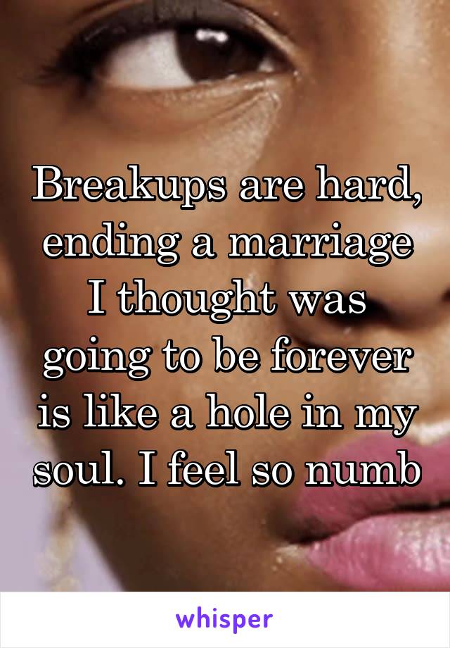 Breakups are hard, ending a marriage I thought was going to be forever is like a hole in my soul. I feel so numb