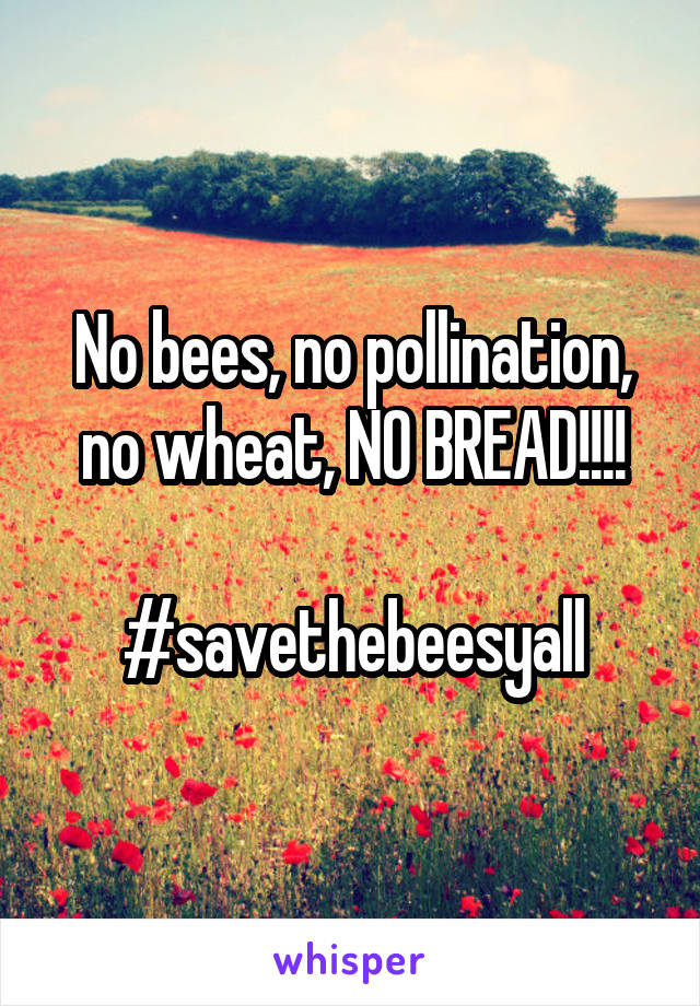 No bees, no pollination, no wheat, NO BREAD!!!!

#savethebeesyall