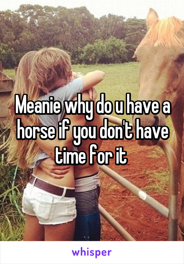 Meanie why do u have a horse if you don't have time for it 
