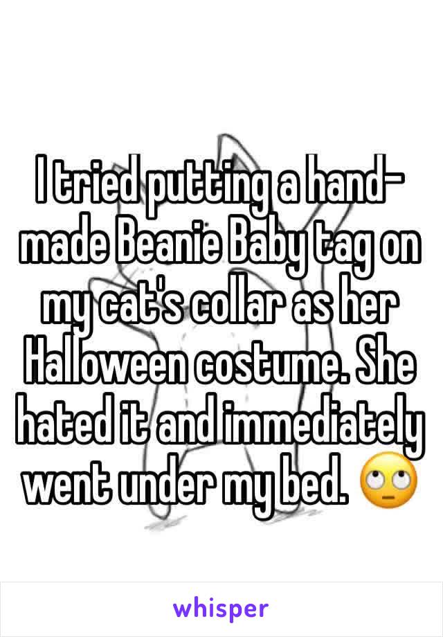 I tried putting a hand-made Beanie Baby tag on my cat's collar as her Halloween costume. She hated it and immediately went under my bed. 🙄
