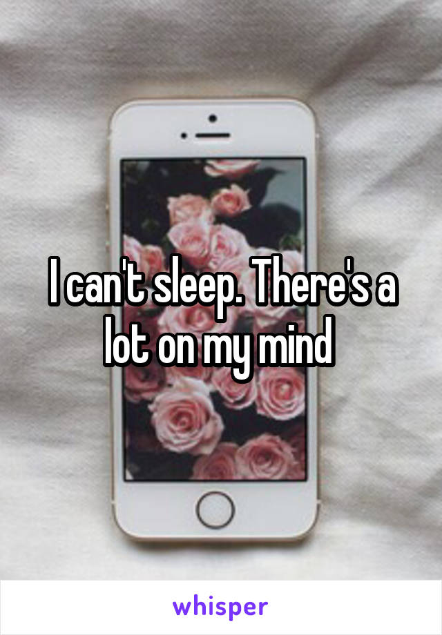 I can't sleep. There's a lot on my mind 