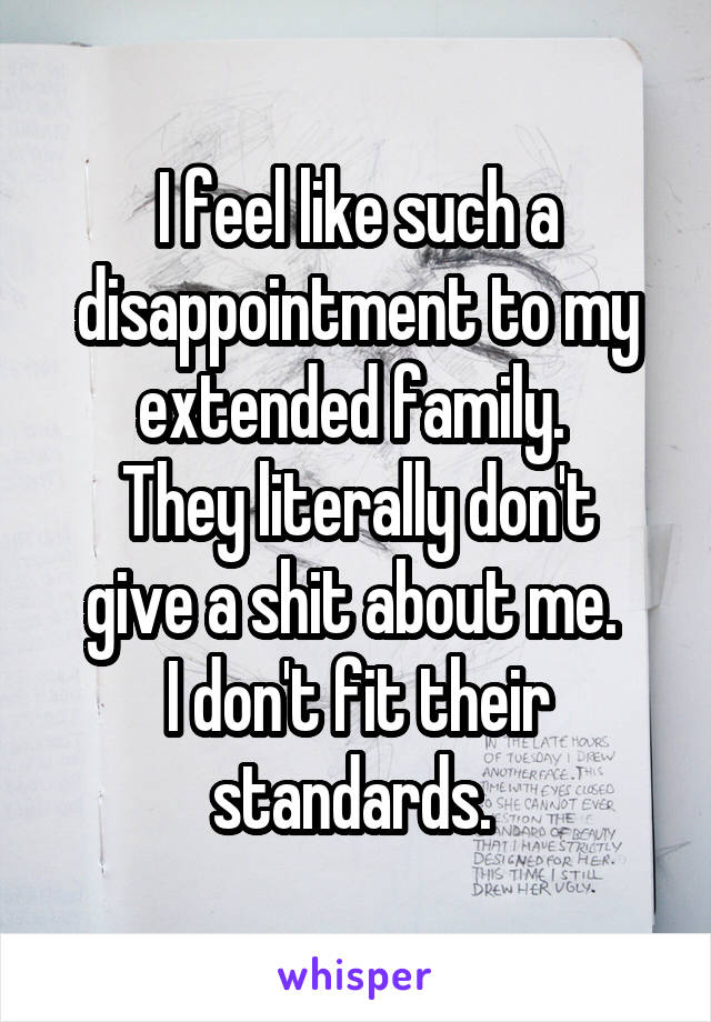 I feel like such a disappointment to my extended family. 
They literally don't give a shit about me. 
I don't fit their standards. 