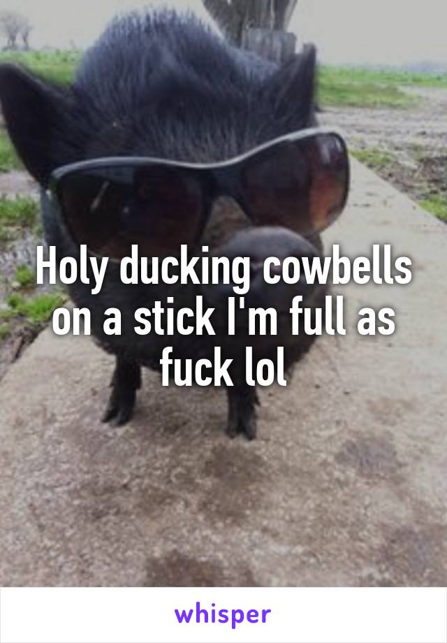 Holy ducking cowbells on a stick I'm full as fuck lol