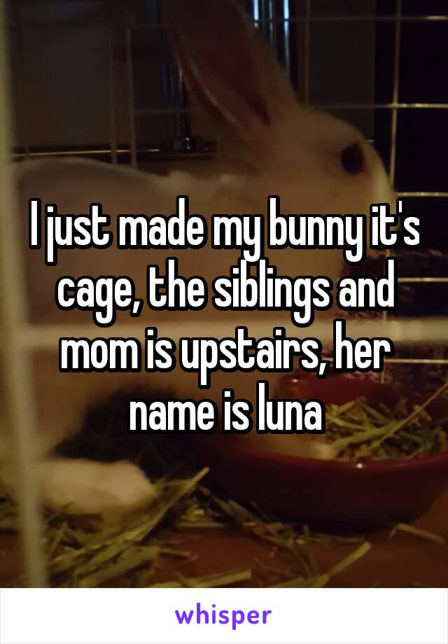 I just made my bunny it's cage, the siblings and mom is upstairs, her name is luna