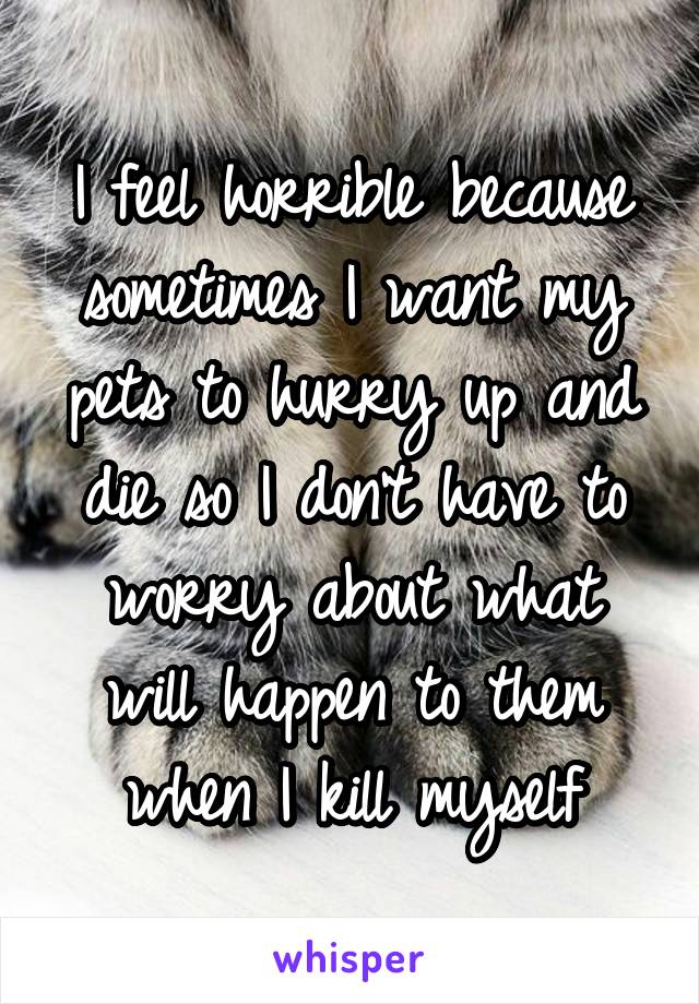 I feel horrible because sometimes I want my pets to hurry up and die so I don't have to worry about what will happen to them when I kill myself