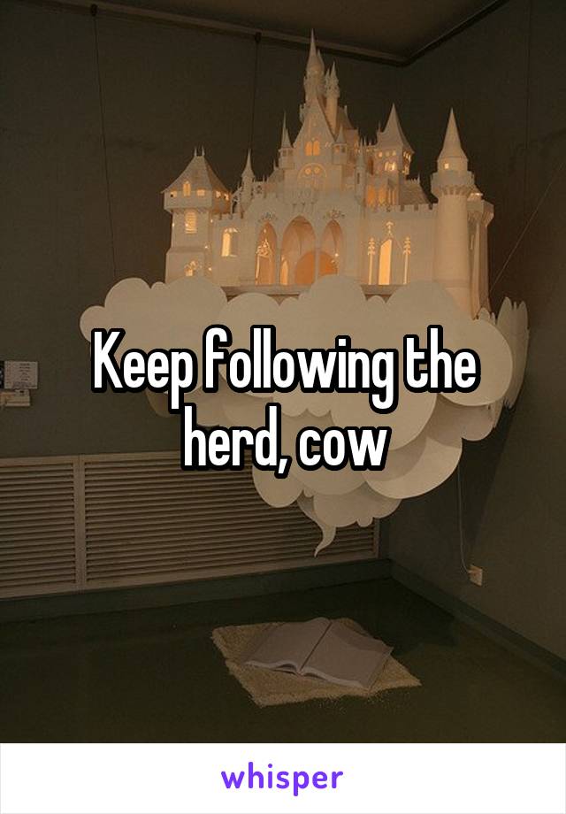 Keep following the herd, cow