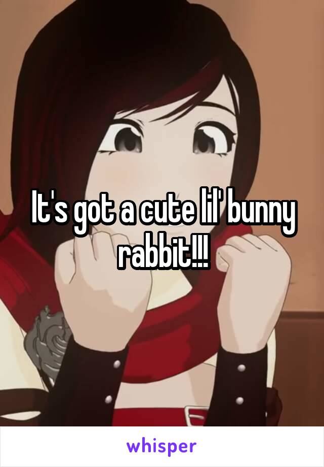 It's got a cute lil' bunny rabbit!!!