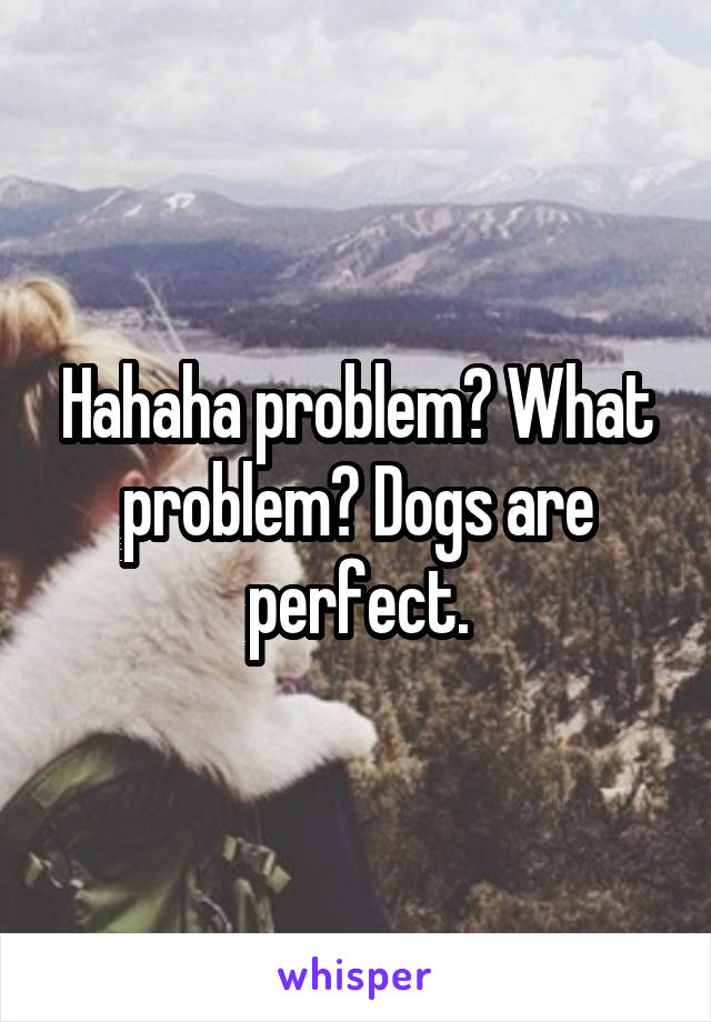 Hahaha problem? What problem? Dogs are perfect.