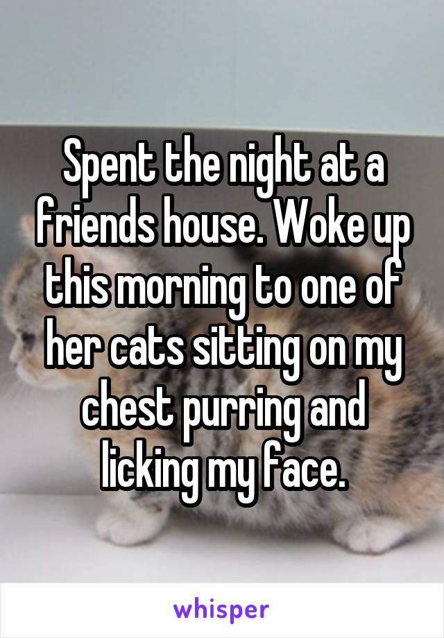 Spent the night at a friends house. Woke up this morning to one of her cats sitting on my chest purring and licking my face.
