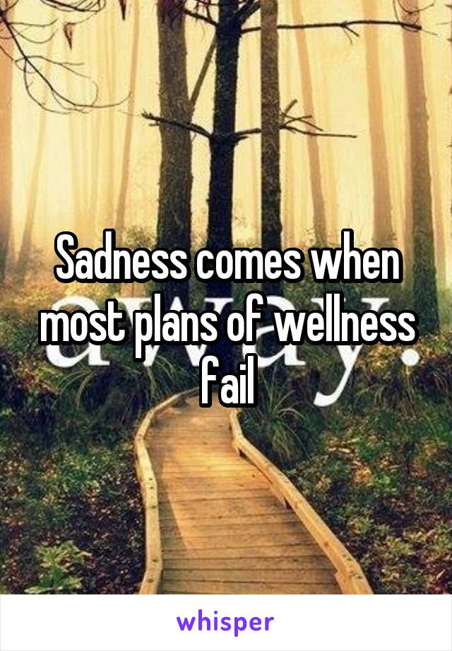 Sadness comes when most plans of wellness fail