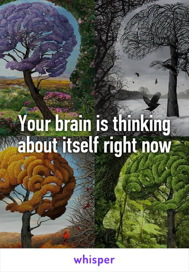 Your brain is thinking about itself right now