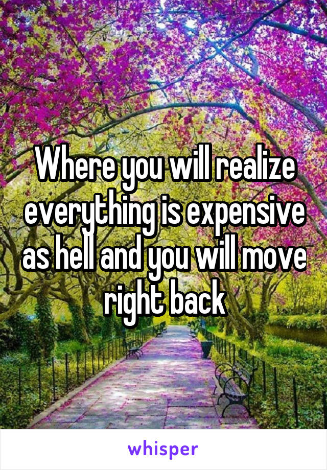 Where you will realize everything is expensive as hell and you will move right back