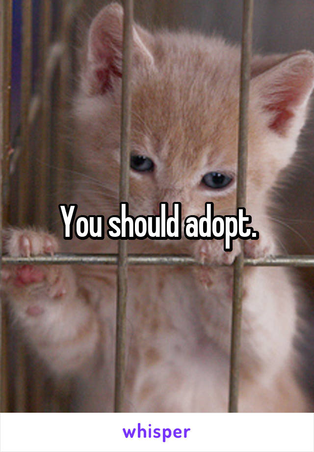 You should adopt.