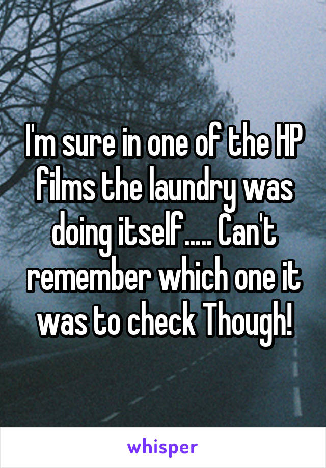 I'm sure in one of the HP films the laundry was doing itself..... Can't remember which one it was to check Though!