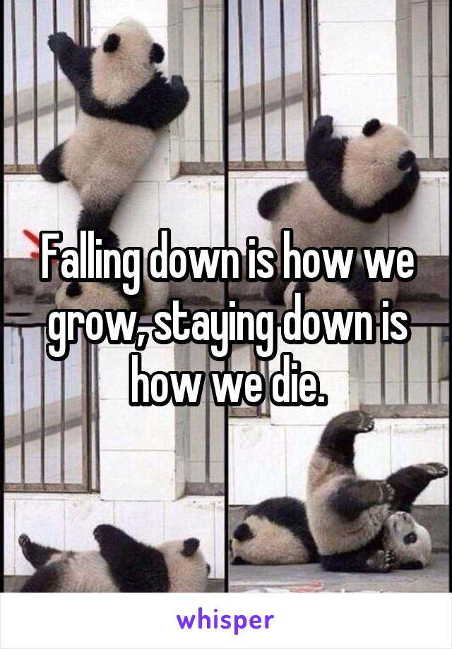Falling down is how we grow, staying down is how we die.