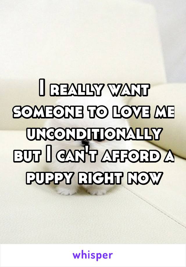I really want someone to love me unconditionally but I can't afford a puppy right now