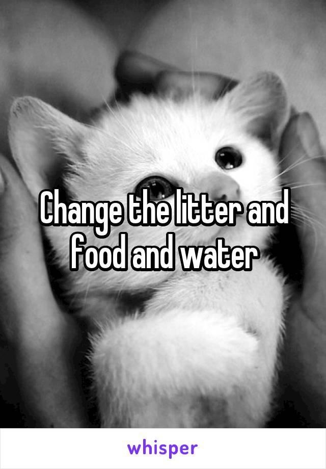 Change the litter and food and water