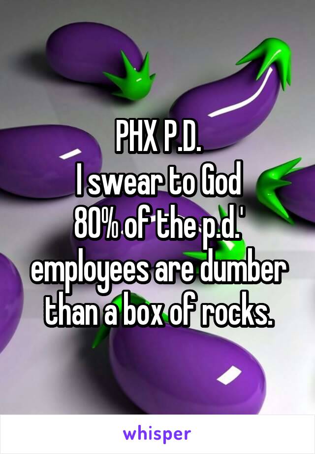 PHX P.D.
I swear to God
80% of the p.d.' employees are dumber than a box of rocks.