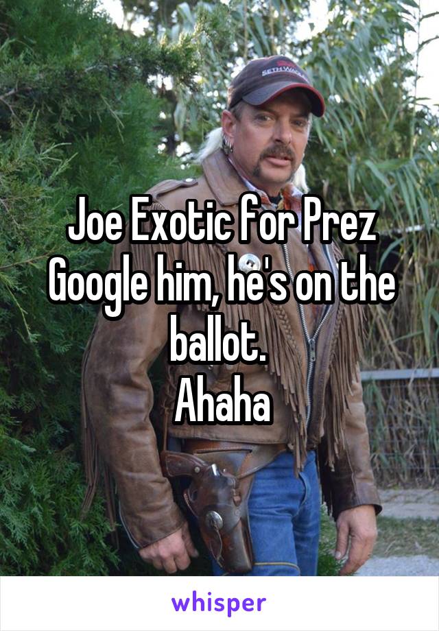 Joe Exotic for Prez
Google him, he's on the ballot. 
Ahaha