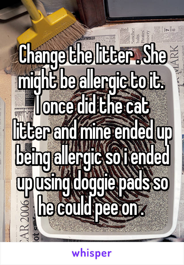 Change the litter . She might be allergic to it. 
I once did the cat litter and mine ended up being allergic so i ended up using doggie pads so he could pee on . 